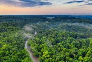 Amazon forest: Area, History and Significance